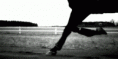 /album/fenykepgaleria/a02644e59000835a0517e8b7b-gif/