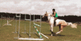 /album/fenykepgaleria/a2259557-gif/