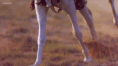 /album/fenykepgaleria/bfd-gif/