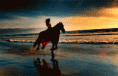 /album/fenykepgaleria/e2hmd-gif/