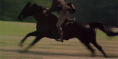 /album/fenykepgaleria/few-gif/