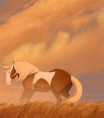 /album/fenykepgaleria/gif-horse-movie-rain-favim-com-1042172-gif/