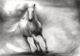 /album/fenykepgaleria/lo3-jpg/