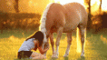 /album/fenykepgaleria/shar-4764-395-2-gif/