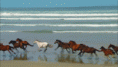 /album/fenykepgaleria/tumblr-lr07p187kk1qabqq4o1-500-gif/