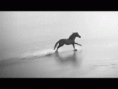/album/fenykepgaleria/tumblr-lwx7xa8sal1r18uero1-500-gif/
