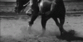 /album/fenykepgaleria/tumblr-m2dtkmpkoy1rpztxvo1-500-gif/