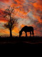 /album/fenykepgaleria/tumblr-m3qamli8e81rswuxxo1-500-jpg/