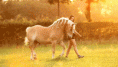 /album/fenykepgaleria/tumblr-mb1c627lv91rgdlh2o1-500-gif/
