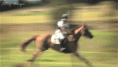 /album/fenykepgaleria/tumblr-mb7dbafeih1r6cd97o1-400-gif/