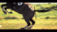 /album/fenykepgaleria/tumblr-mep1auiupm1rl13kvo1-400-gif/