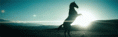 /album/fenykepgaleria/tumblr-mf4wyvguax1rud2w5o1-500-gif/