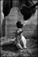 /album/fenykepgaleria/tumblr-mft64erboo1rj0jebo1-500-jpg/