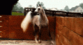 /album/fenykepgaleria/tumblr-mh228s7aui1rkpl6qo1-500-gif/