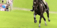 /album/fenykepgaleria/tumblr-mkl83aoo5t1s1g7mho1-400-gif/