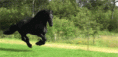 /album/fenykepgaleria/tumblr-mm9c7c6trc1qe2thio1-400-gif/