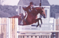 /album/fenykepgaleria/tumblr-mqns0vfjrv1s5hgqxo1-500-gif/
