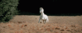 /album/fenykepgaleria/tumblr-mstdubmqwc1snyrdto1-500-gif/