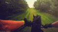 /album/fenykepgaleria/tumblr-mv71hgj72h1s6mwywo1-500-gif/