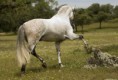 /album/fenykepgaleria/tumblr-mz3s4j6q811s9ofeio3-1280-jpg/