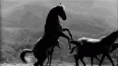 /album/fenykepgaleria/tumblr-mz7ayjcywh1t4x8h8o1-500-gif/