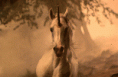 /album/fenykepgaleria/tumblr-n1ocdtp4dm1syg0hgo1-500-gif/