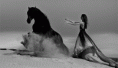/album/fenykepgaleria/tumblr-n1qv5x6jrv1tq0himo1-500-gif/