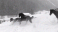 /album/fenykepgaleria/tumblr-nj71k8hjrz1tj6hgjo1-500-gif/